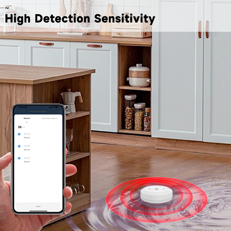Tuya Zigbee2mqtt Wasser Immers – Water Alarm Sensor Bewertung und Preis